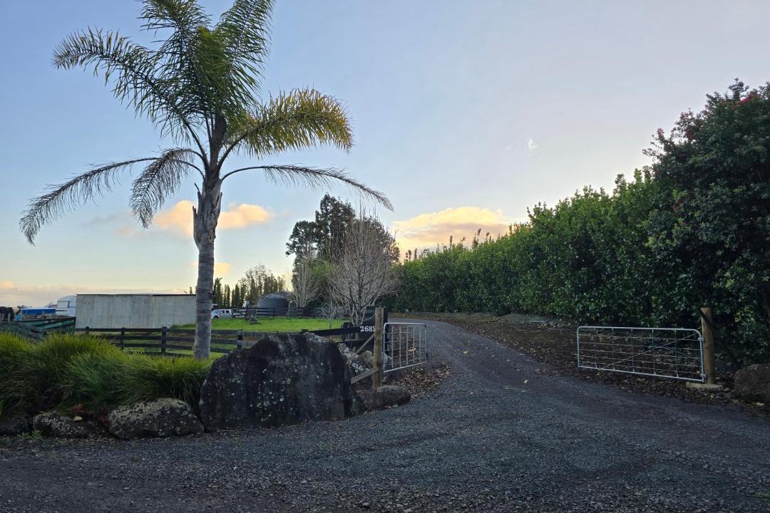 Photo of Others in Kerikeri