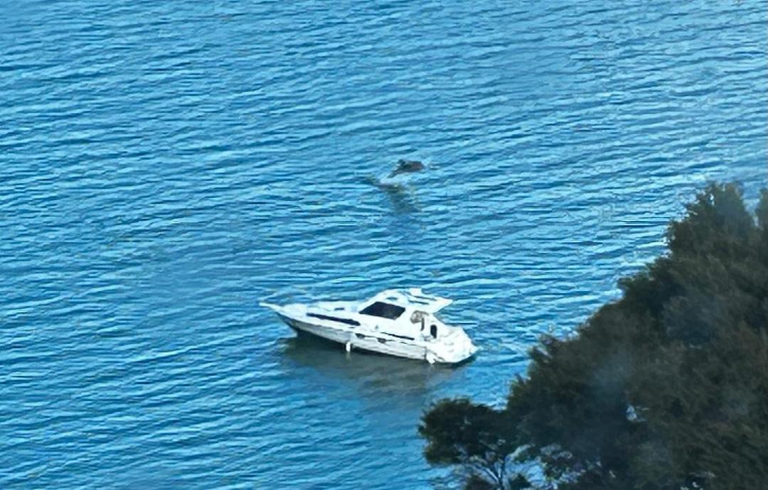 Photo of Others in Waiheke Island