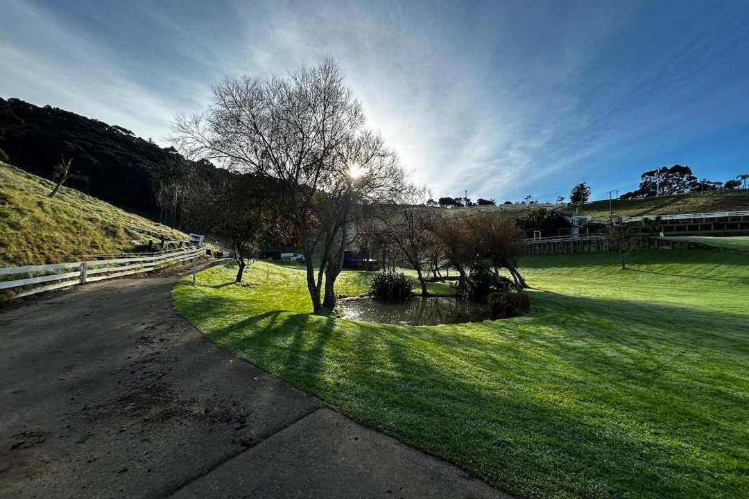 Photo of Others in Waiheke Island