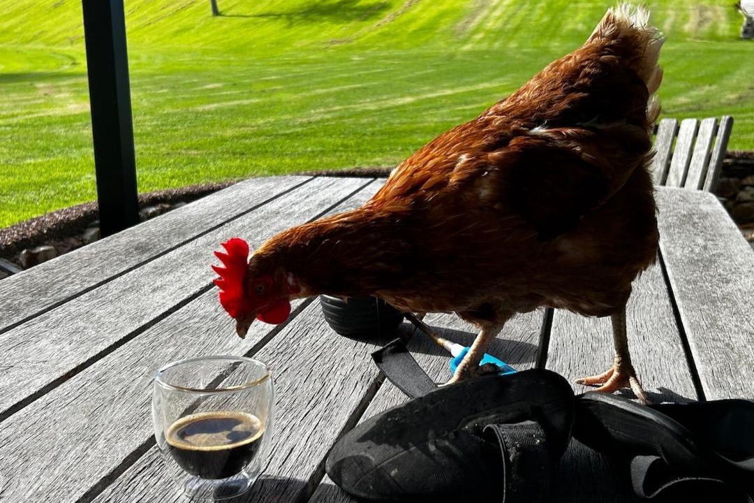 Photo of Others in Waiheke Island
