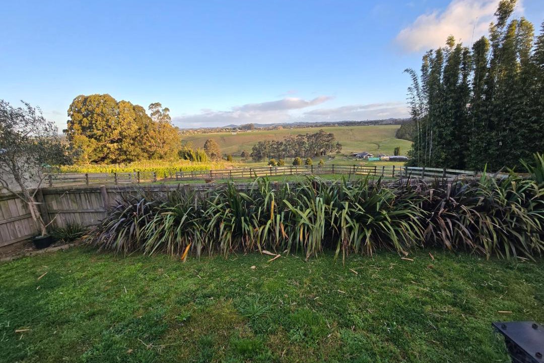 Photo of Others in Kerikeri