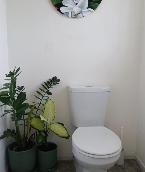 Photo of Others in Gisborne