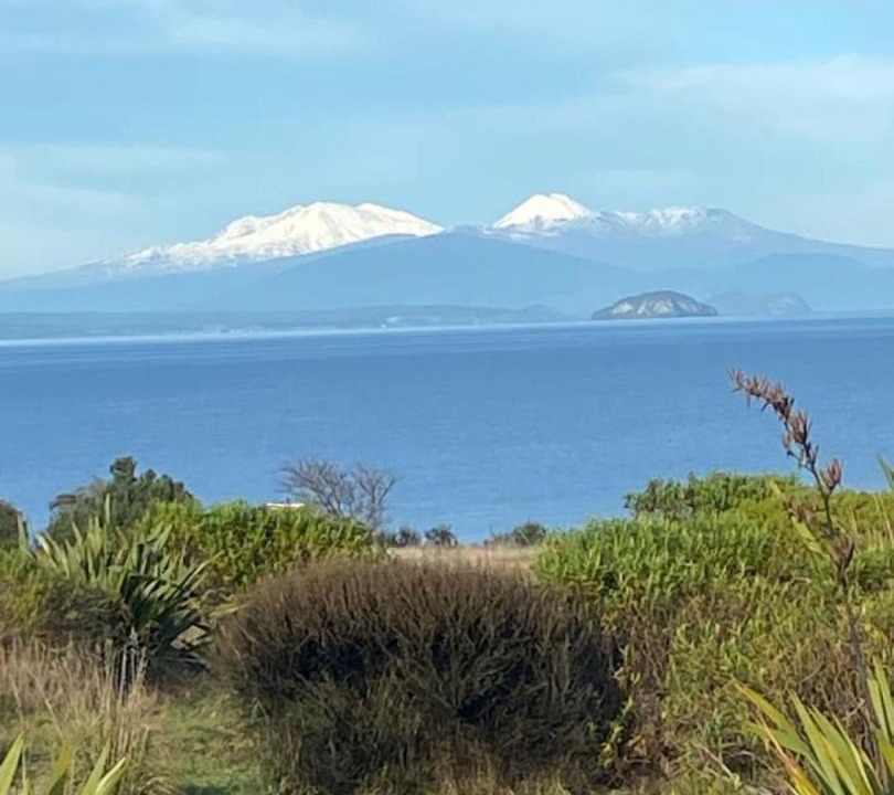 Photo of Others in Wharewaka