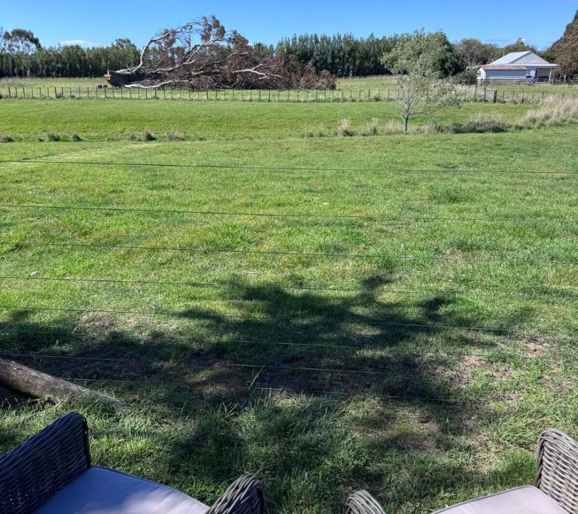 Photo of Others in Martinborough
