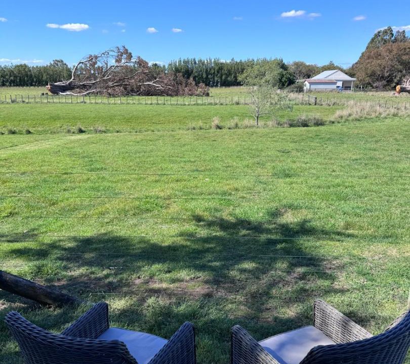 Photo of Others in Martinborough