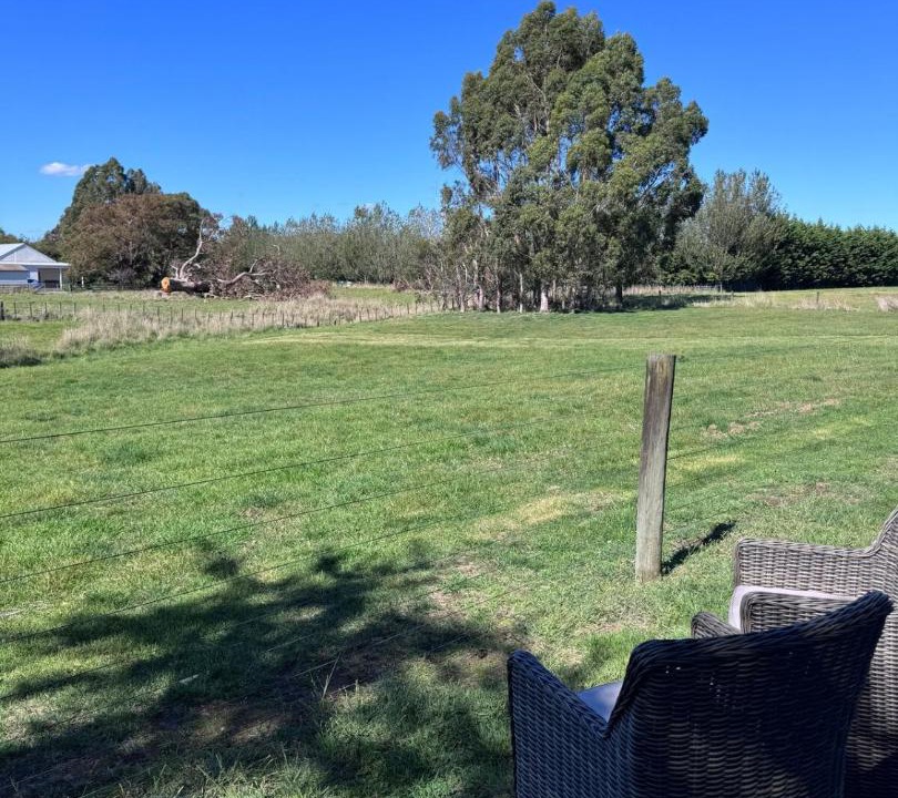 Photo of Others in Martinborough