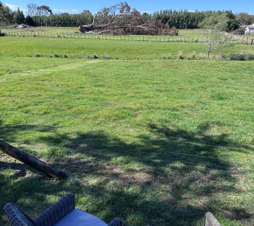 Photo of Others in Martinborough