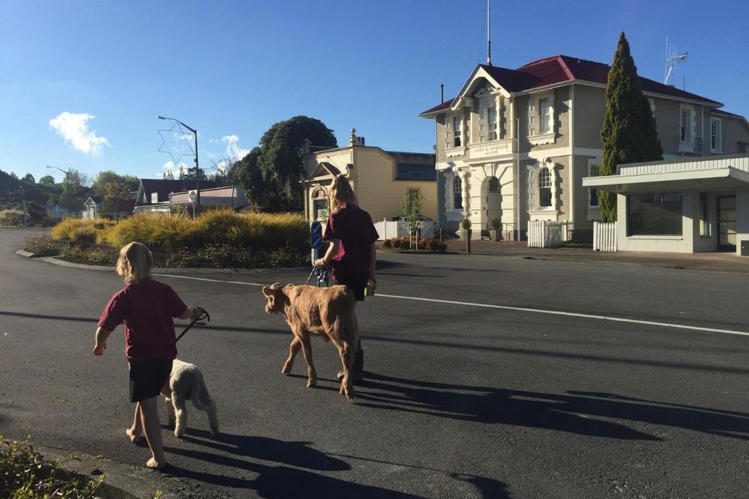 Photo of Others in Kiwitea