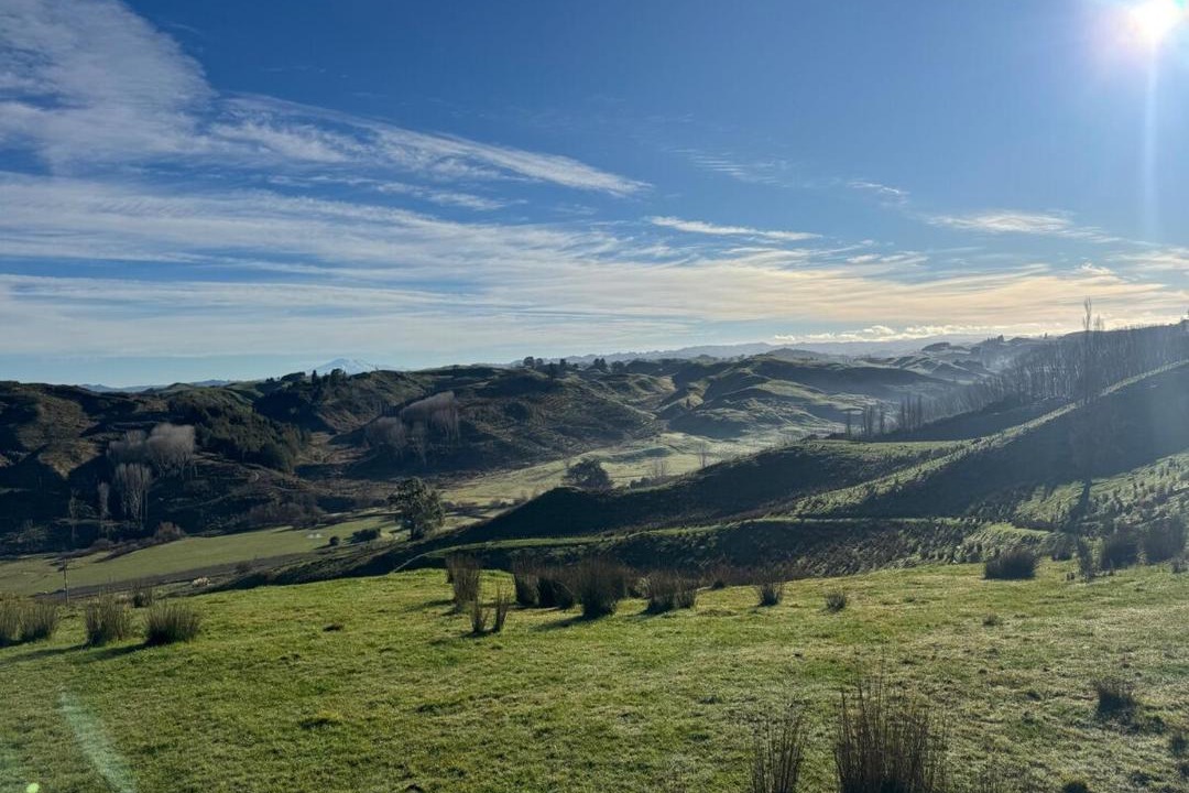 Photo of Others in Kiwitea