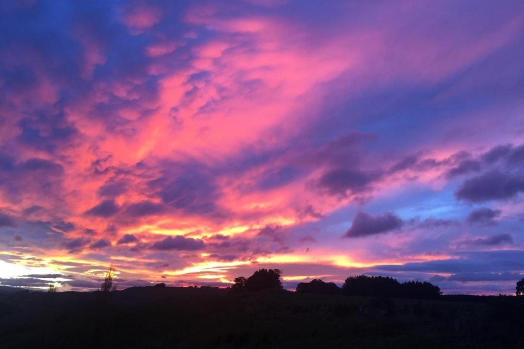 Photo of Others in Kiwitea