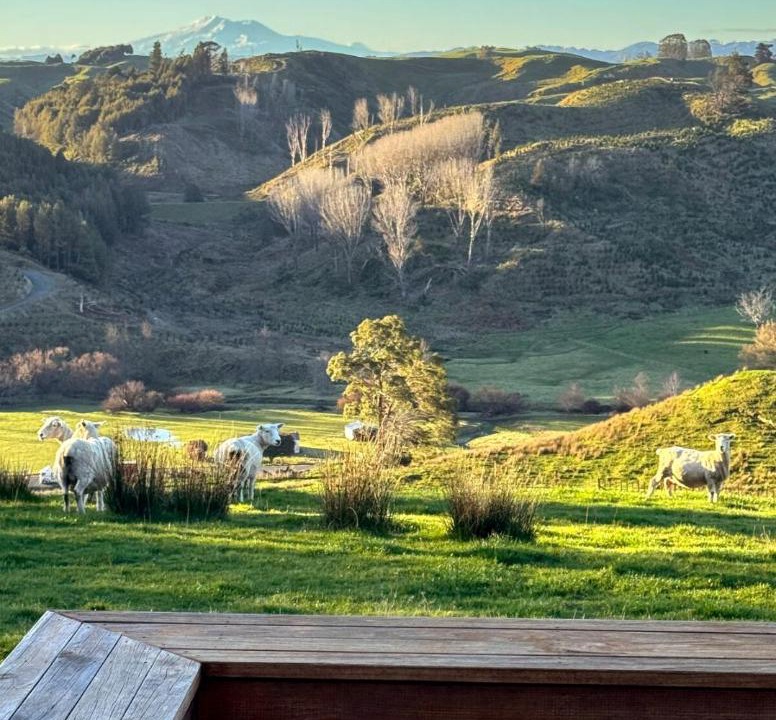 Photo of Others in Kiwitea