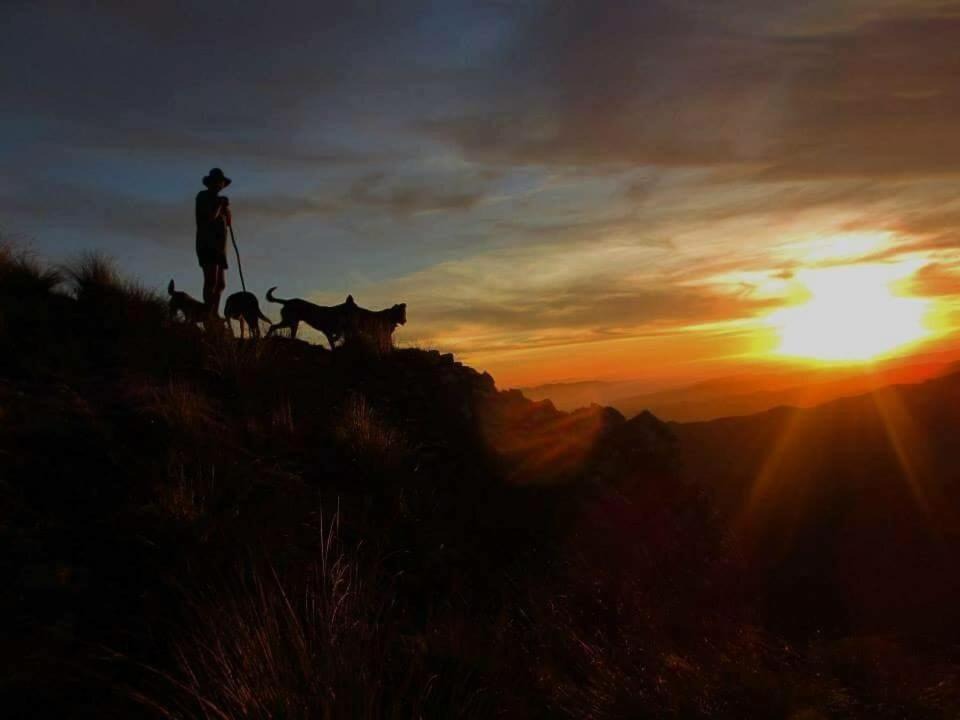 Photo of Others in Kiwitea