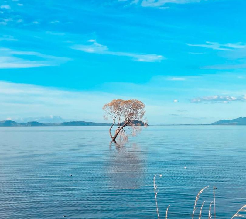 Photo of Others in Taupo