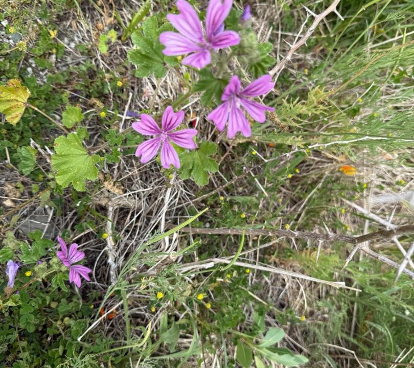 Photo of Outdoor in Roxburgh
