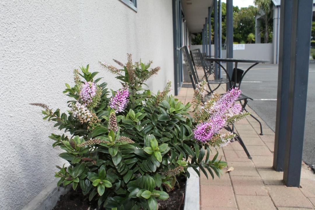 Photo of Others in Mount Maunganui