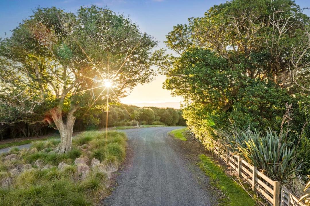 Photo of Others in Tawharanui