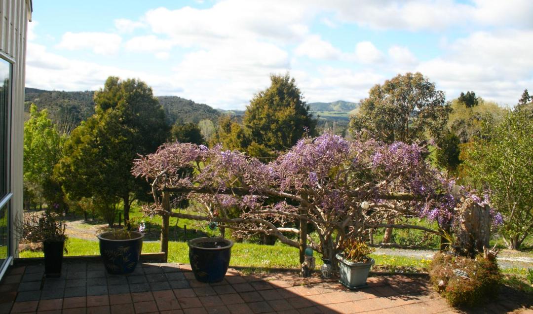 Photo of Others in Kaikohe
