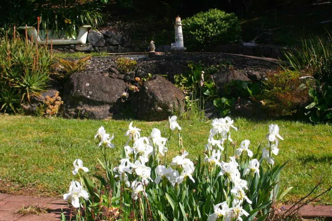Photo of Others in Kaikohe