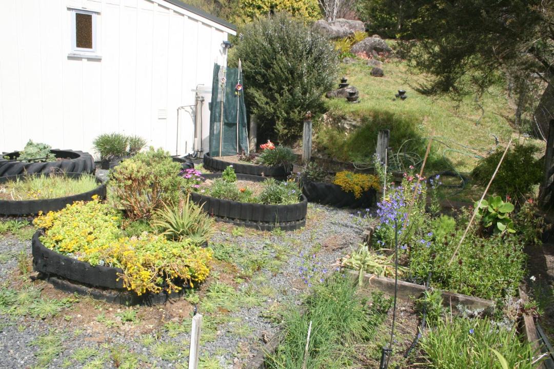 Photo of Others in Kaikohe