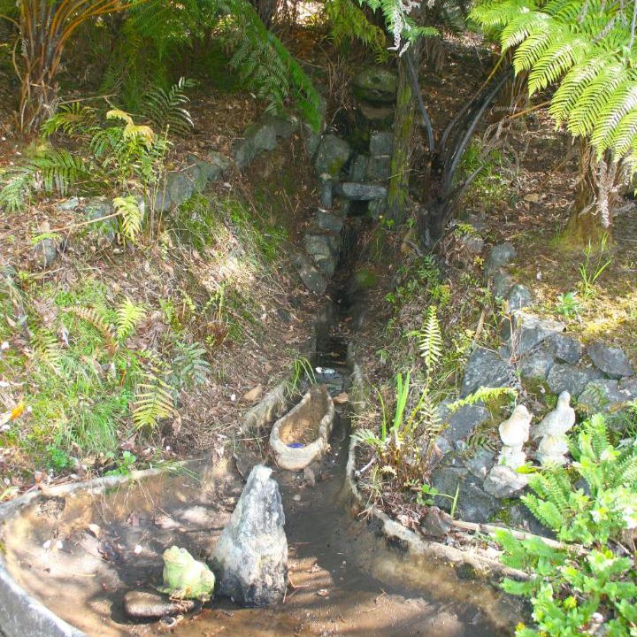 Photo of Others in Kaikohe