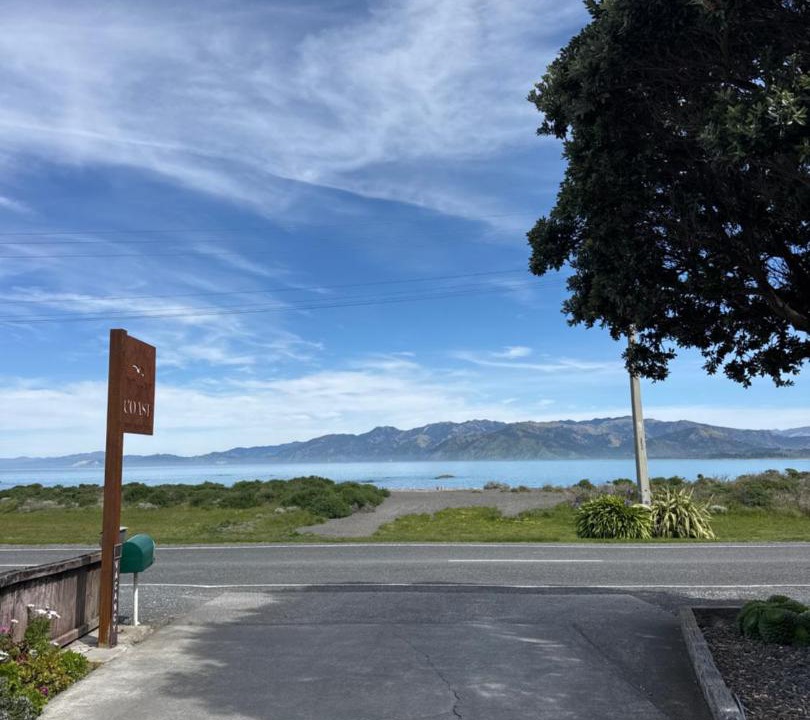 Photo of Others in South Bay