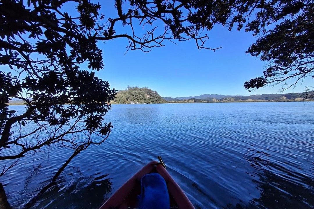 Photo of Others in Whitianga