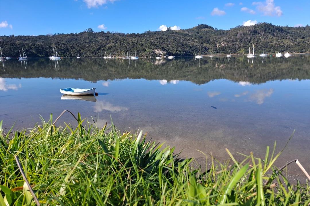 Photo of Others in Whitianga