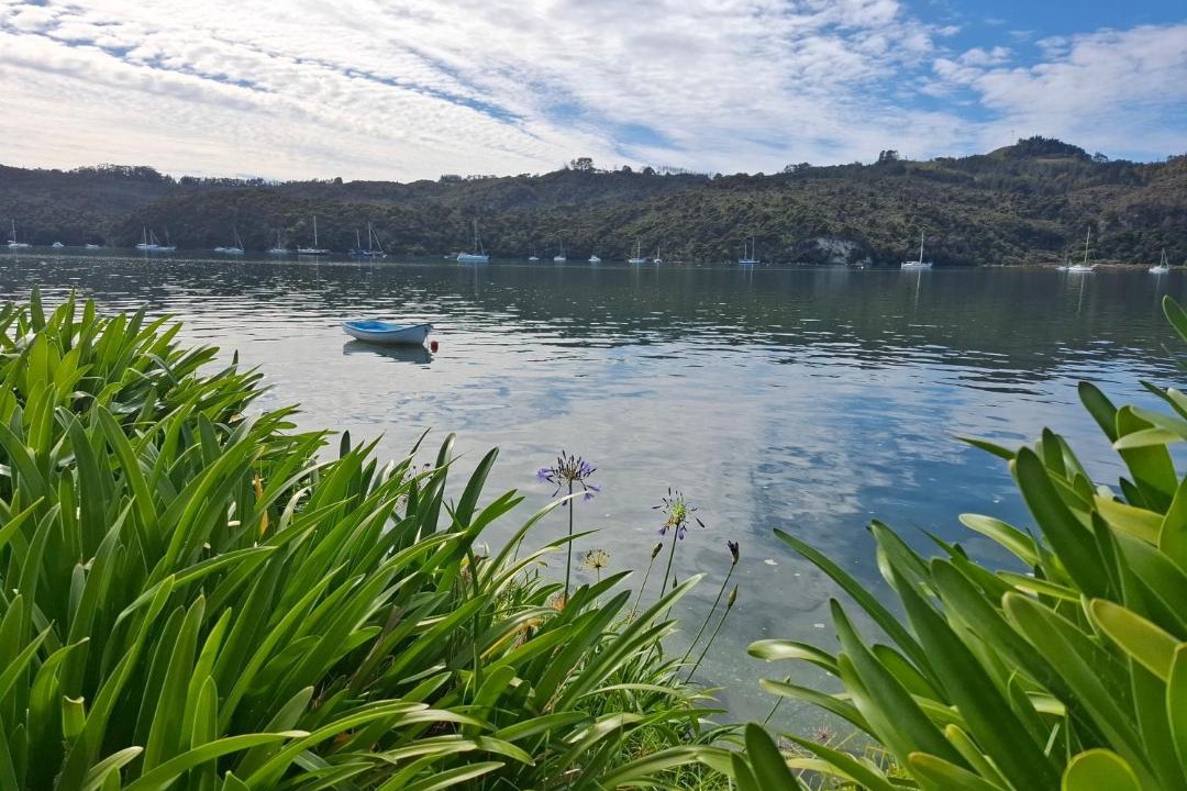 Photo of Others in Whitianga