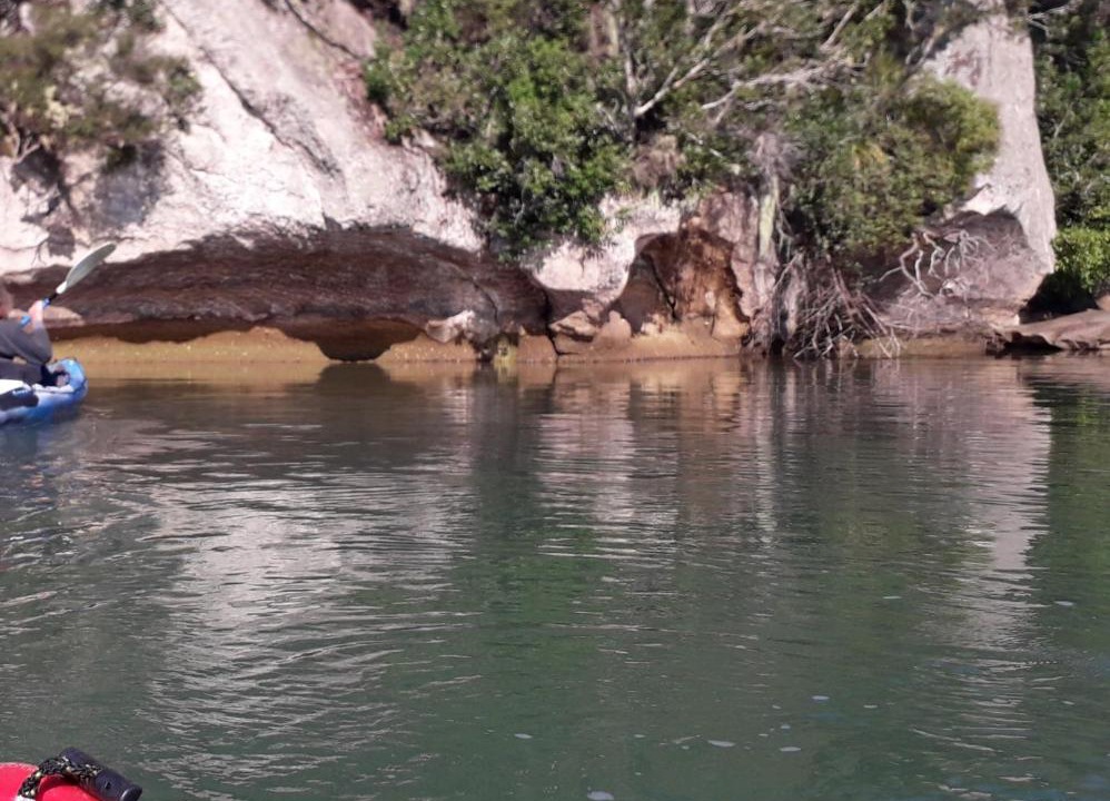 Photo of Others in Whitianga