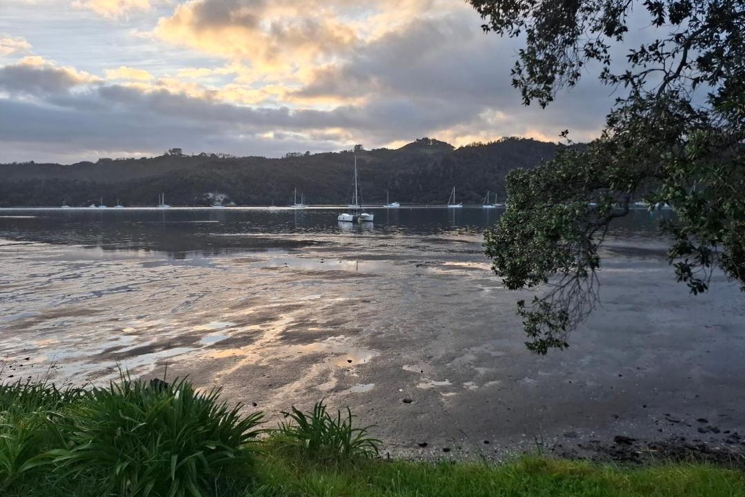 Photo of Others in Whitianga