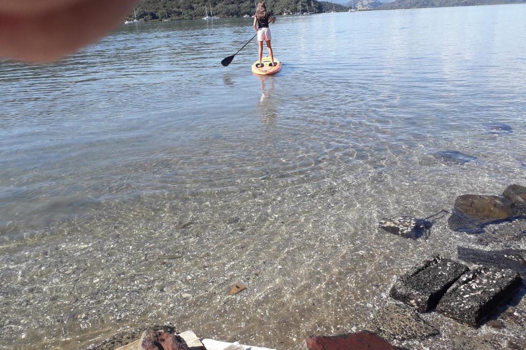 Photo of Others in Whitianga