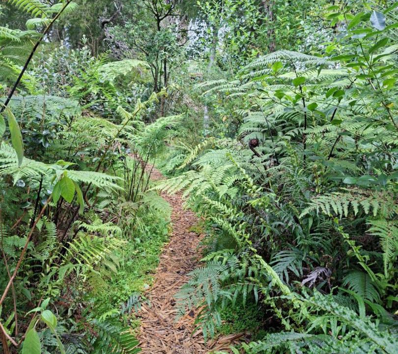 Photo of Outdoor in Rawene