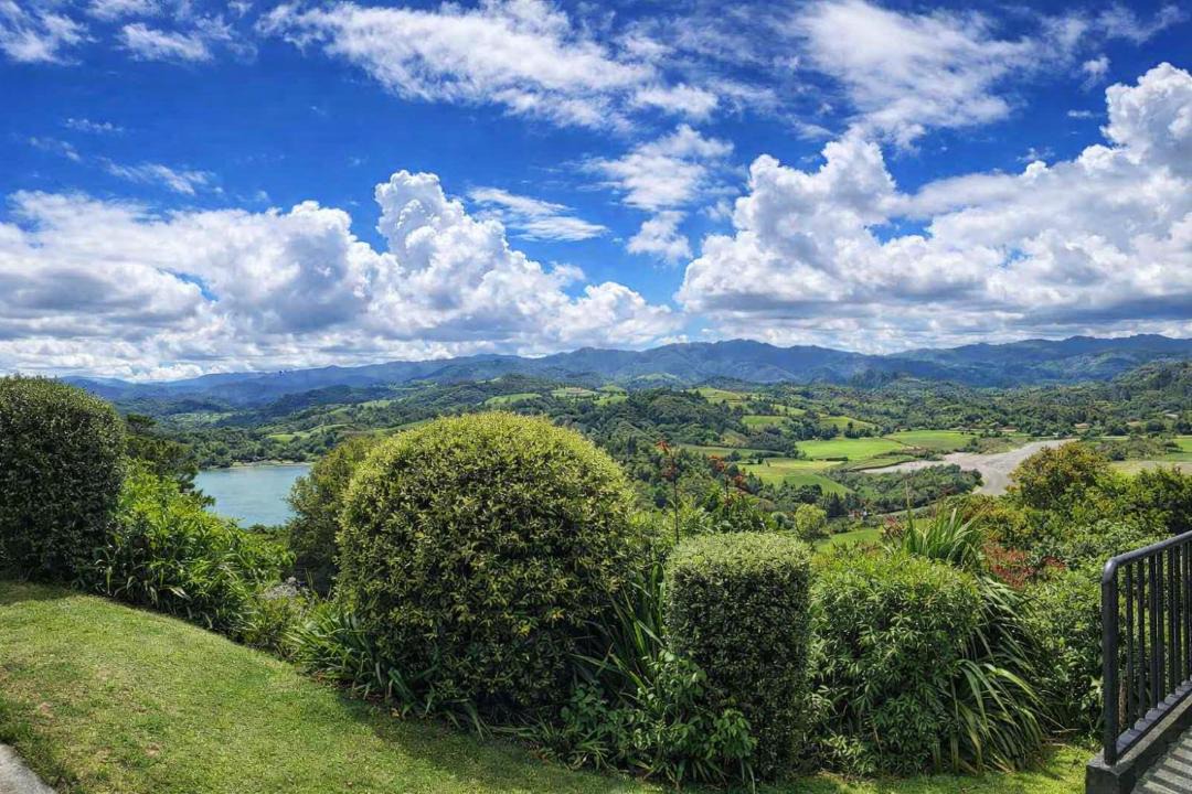Photo of Others in Coromandel