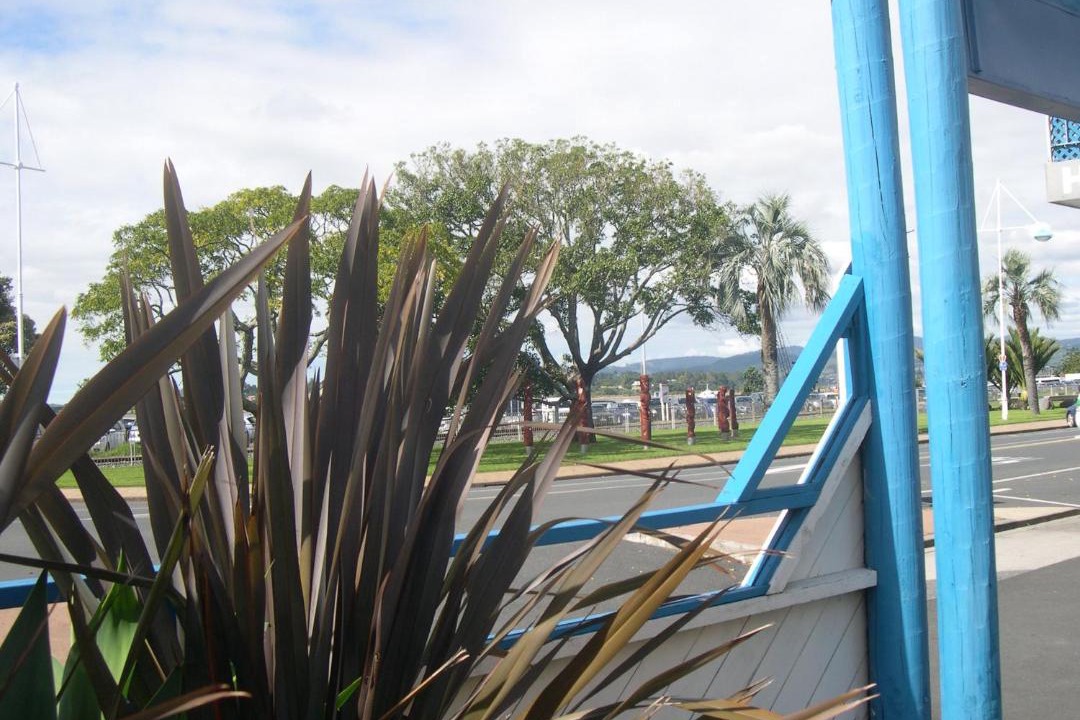 Photo of Others in Tauranga