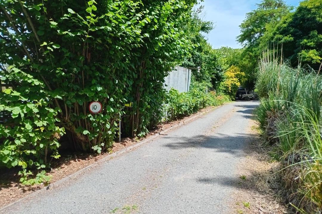 Photo of Outdoor in Hastings