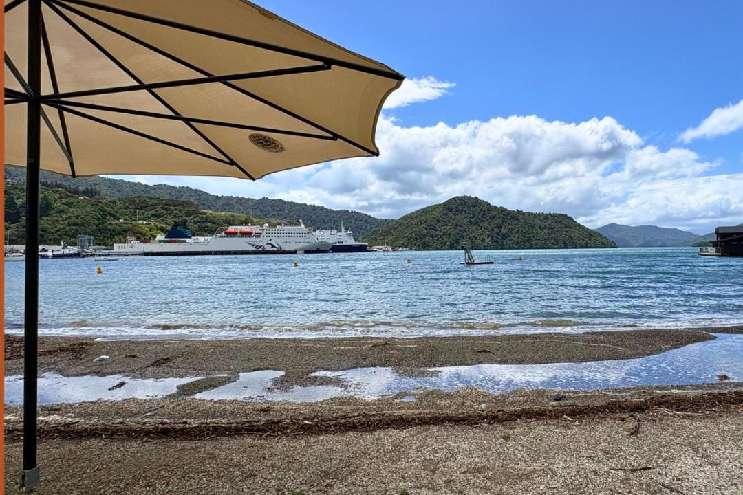 Photo of Others in Picton