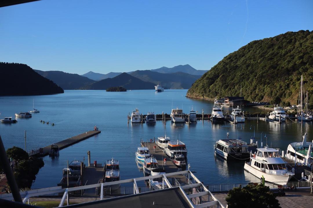 Photo of Others in Picton