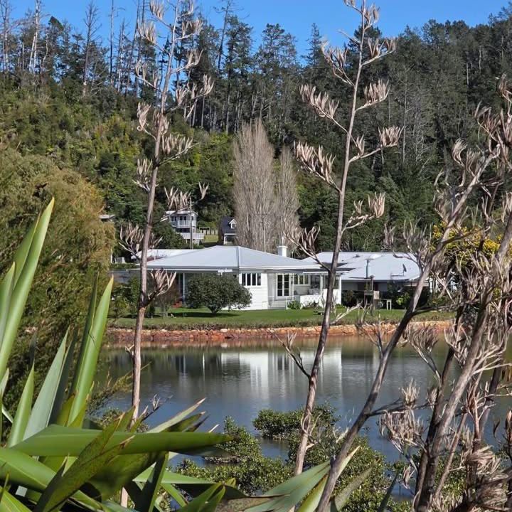 Photo of Others in Tairua