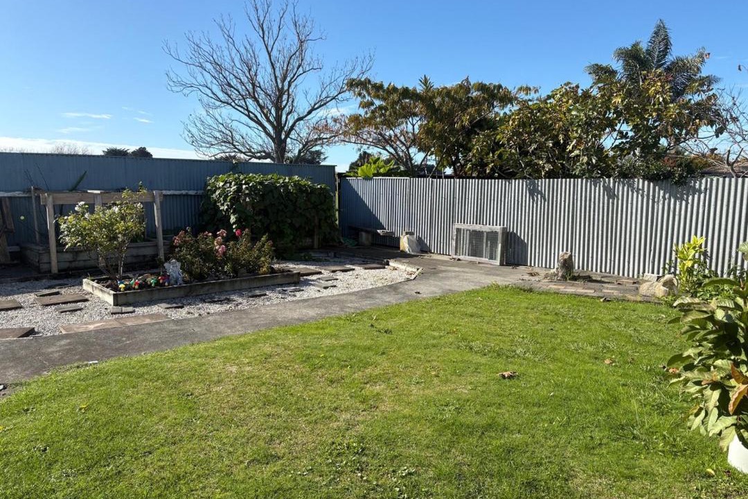 Photo of Others in Napier