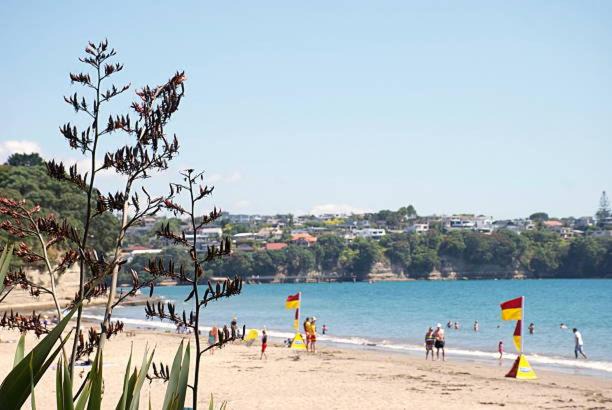Photo of Others in Mairangi Bay