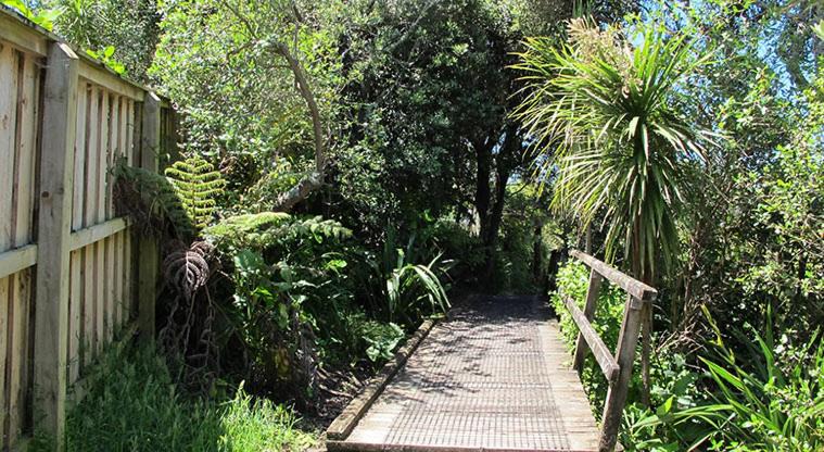 Photo of Others in Mairangi Bay
