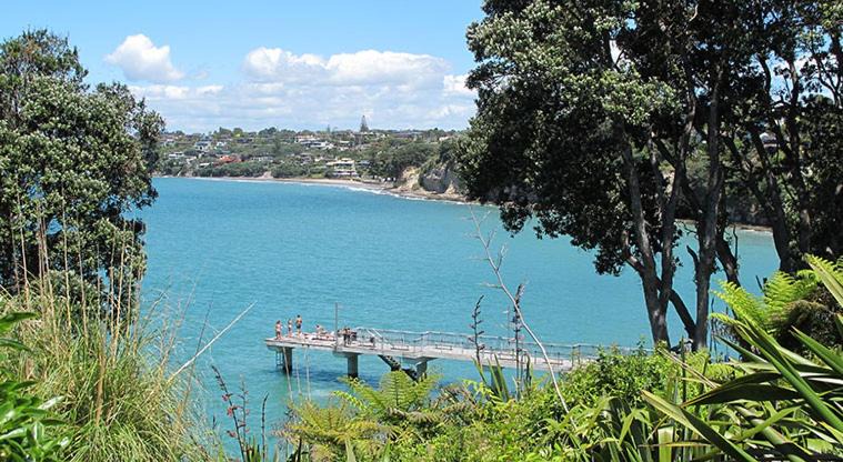 Photo of Others in Mairangi Bay