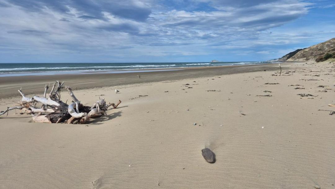 Photo of Others in Ocean Beach