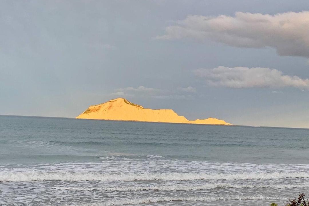 Photo of Others in Waimarama