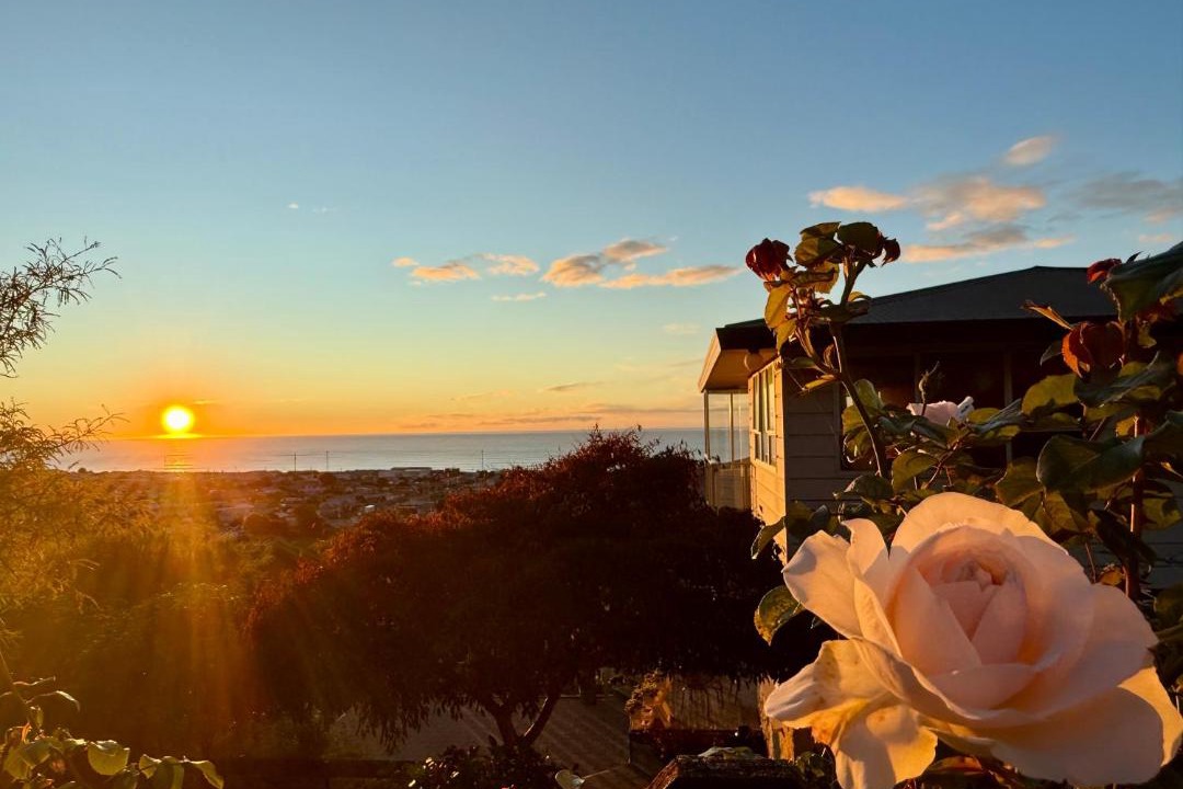 Photo of Others in Oamaru