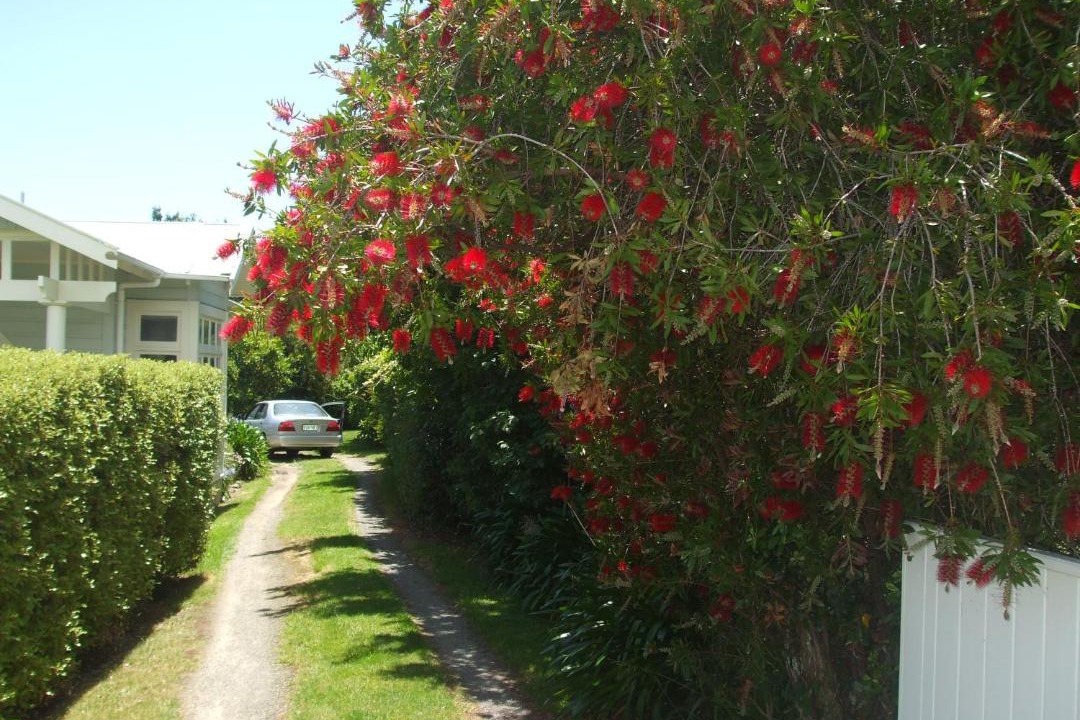 Photo of Others in Martinborough