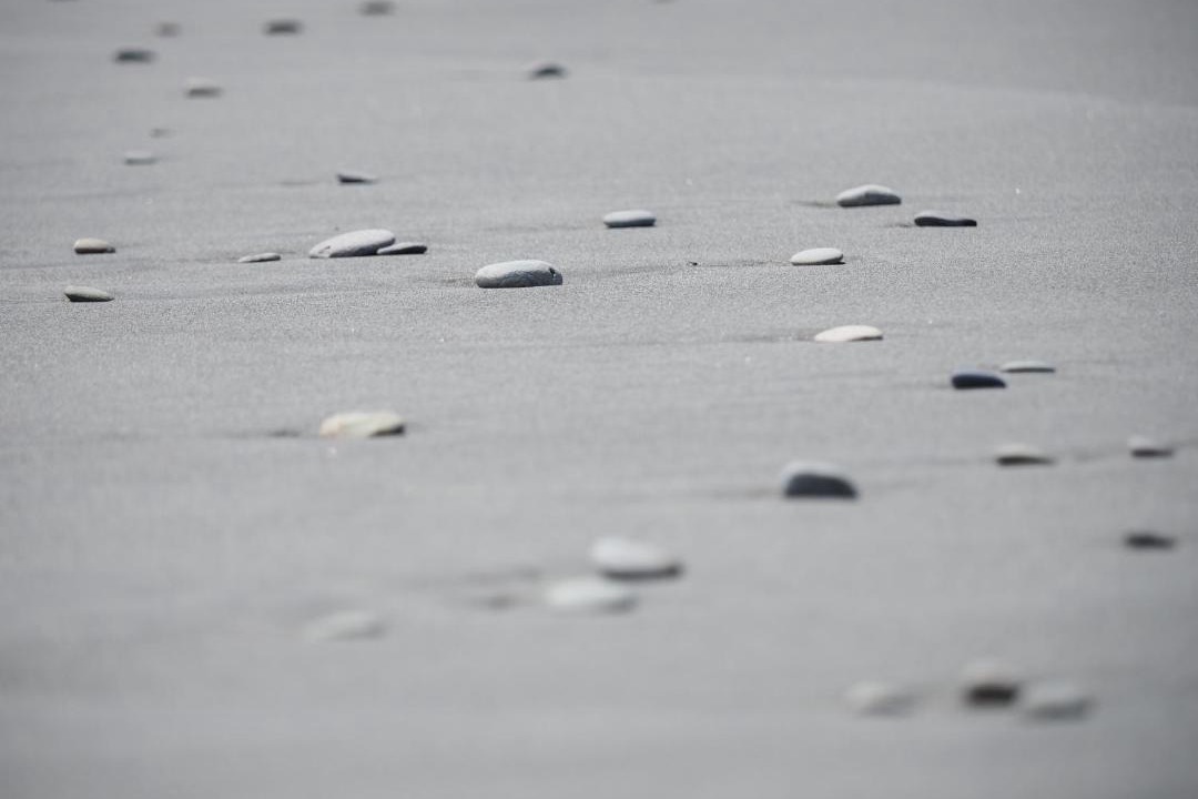 Photo of Others in Hokitika