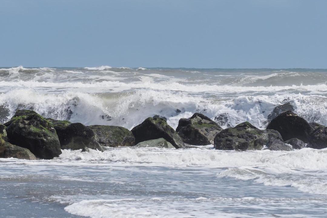 Photo of Others in Hokitika