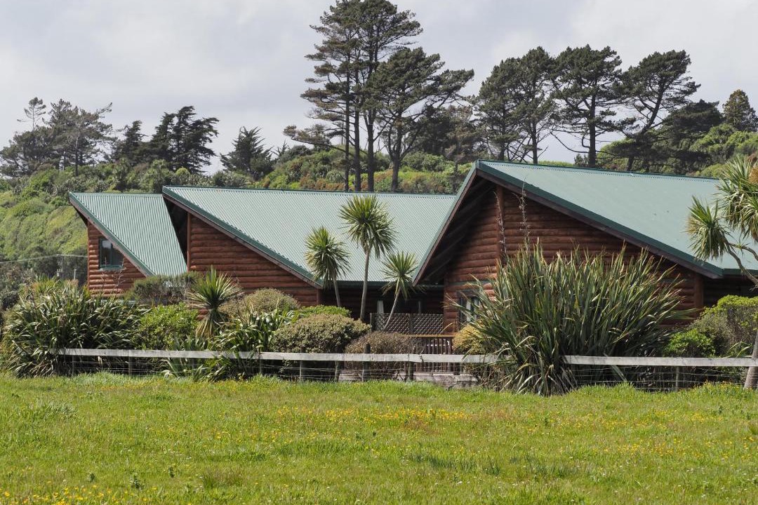 Photo of Others in Hokitika