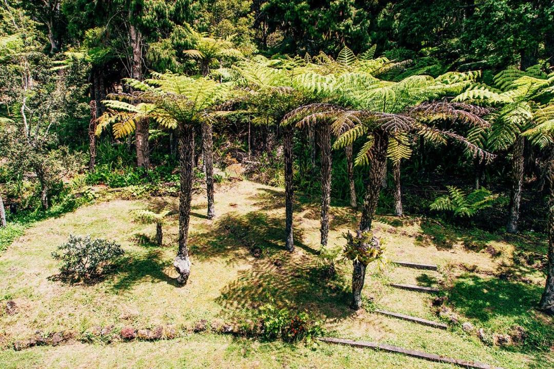 Photo of Others in Paihia